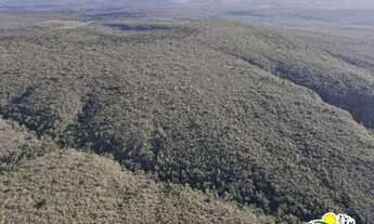 Imagem 4: Fazenda à Venda em Jeremoabo - Bahia 368 Hectares
