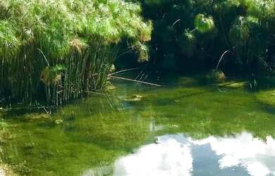 Imagem 6: Casa linda com fachada espetacular no Garden