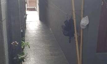 Imagem 5: Locação Edicula - Vila Moderna