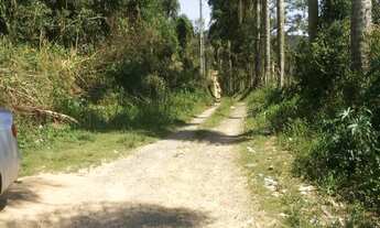 Imagem 2: Lote/Terreno para venda possui 31140 metros quadrados em Recreio Campo Verde - Ibiúna - SP