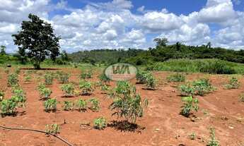 Imagem 7: Fazendinha a venda com excelente solo e preço atrativo