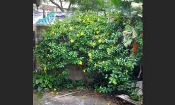 Imagem 5: Casa para aluguel possui 50 metros quadrados com 1 quarto em Vila Pompéia - São Paulo - Sã