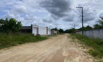 Imagem 3: Lote medindo 20x49, perfazendo 980m²