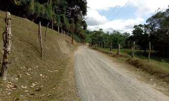 Imagem 6: Sitio 3 alqueires Miracatu SP