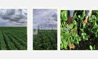 Imagem 2: Venda Fazenda AREA RURAL DE TOCANTINS