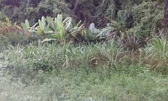 Imagem 2: Oportunidade Formar Seu Sitio Dos Sonhos!!! 11 Hectares 198.500