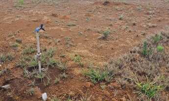 Imagem 6: Excelentes lotes de 400 m² em Ponte Alta Norte