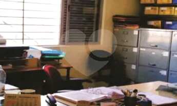 Imagem 6: QUINTAL, MUITO VERDE, RUA TRANQUILA!