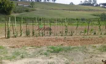 Imagem 4: Sitio 8,5 Alqueires à venda no bairro Campo Largo, em Jarinu/SP