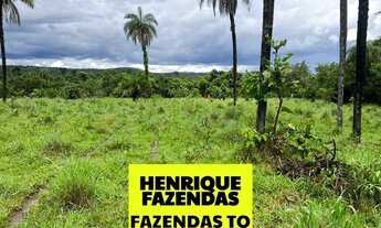 Imagem 7: Fazenda no Luzimangues poucos minutos de Palmas 51 alqueires