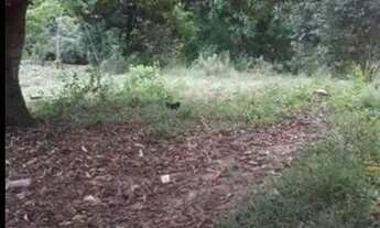 Imagem 3: Terreno Em Penedo