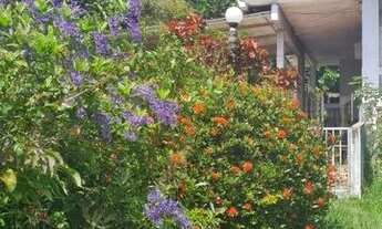 Imagem: Mini Sítio em Santa Cruz