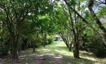 Imagem 7: Fazenda/Sítio/Chácara para venda com 239 metros quadrados com 4 quartos