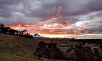 Imagem 6: 2 hectares Chácara com venda por R$100.000