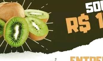 Imagem 5: Morangos, Mirtilos, Kiwi, Amora e Framboesas naturais congeladas