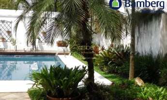 Imagem 6: Um oásis dentro de São Paulo