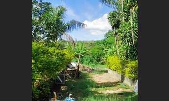 Imagem 6: Chácara com Escritura no Novo Gama