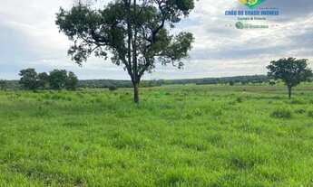 Imagem 4: APARECIDA DO TABOADO - RURAL - Área Rural de Aparecida do Taboado MS