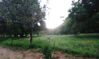 Imagem 3: Fazenda Fazenda / sítio com venda por R$700.000