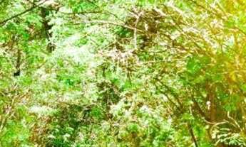 Imagem 13: Alugo Temporada Casa com 2 dormitórios