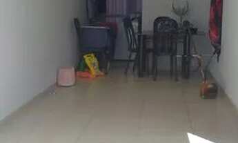 Imagem: Alugo casa flor do cerrado