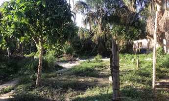 Imagem 5: Vendo um terreno