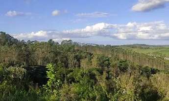 Imagem 2: Lote para venda possui 500 metros quadrados em Santa Isabel - SP