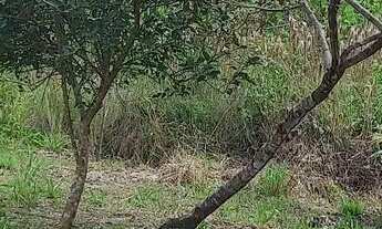 Imagem 7: Vende-se terreno no interior..