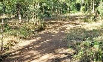 Imagem 7: Vendo Chacara 12 0000mt² na beira do rio Lajeado