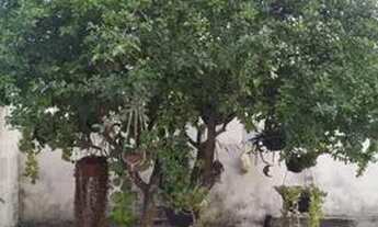 Imagem 2: URGENTE! OPORTUNIDADE ÚNICA ! Linda casa na Sucupira! Lote amplo 200m²! 3 Quartos! Confira