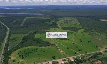 Imagem: Fazenda com 280 hectares, 230 de pasto formado