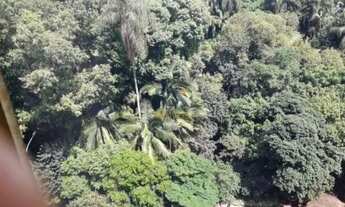 Imagem 4: Apartamento, Higienópolis - São Paulo