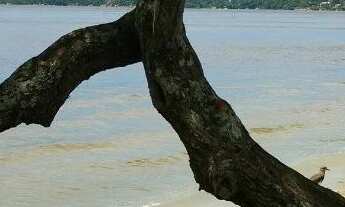 Imagem: Casa com linda vista na lagoa da conceição