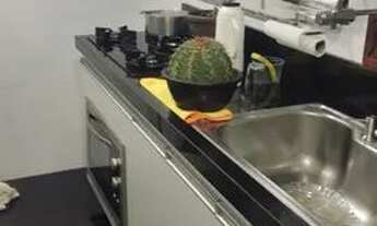 Imagem 5: ATENÇÃO! URGENTE! Vendo lindo apartamento! 2Quartos! C/Suíte! Ac.Financiamento! Confira!