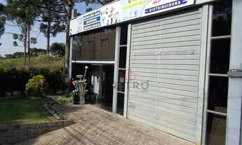 Imagem 4: Prédio comercial no bairro Germânia em Nova Petrópolis!