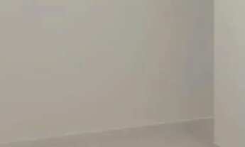 Imagem: Apartamento para aluguel possui 54 metros