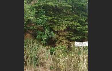 Imagem 7: Lote rua hebreus canaa ipatinga