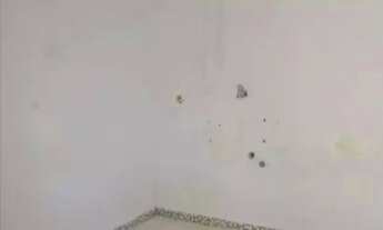 Imagem 4: Sobrado a venda 03 dormitórios 01 suíte 230 m² Vila Progredior