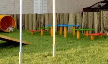 Imagem 5: Joana Melo Living