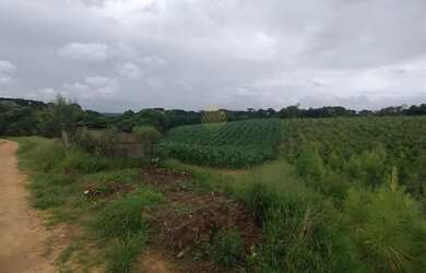 Imagem 2: Chácara à venda, 25.110 m2, Cachoeira - São José dos Pinhais PR