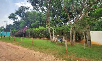 Imagem 5: CASA C/ MUITA AREA VERDE - ARVORES NATIVAS