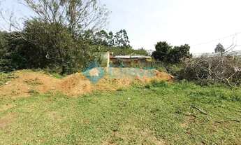 Imagem 2: Terreno à Venda - Mato Alto