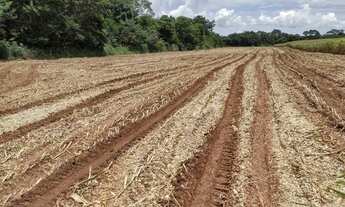 Imagem: Venda Commercial / Agricultural Curvelo