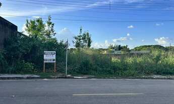 Imagem 4: Terreno no Bairro Paraviana para Investir ou Construir!