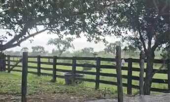 Imagem 3: SÍTIO 20 HECTARES PROX CINQUENTINHA