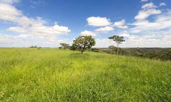 Imagem 5: Fazenda dupla aptidão em Campo Alegre de Goiás, GO