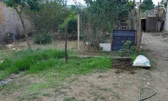 Imagem 3: Vendo casa quitada há 8 km do gama