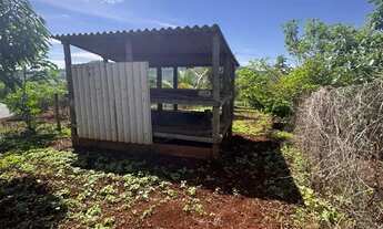 Imagem 6: Imóvel para venda com 3166 metros quadrados em Parque Solimões - Goianira - GO