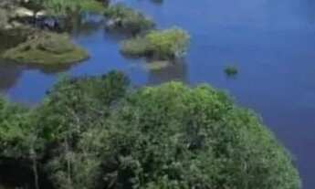 Imagem: Excelente terrenos p/ Chácaras de fundos