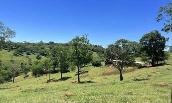 Imagem 4: Fazenda 37 alqueires